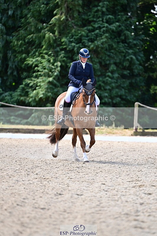 260731A-111442-00280 - Elementary Bronze 10.30 - Break