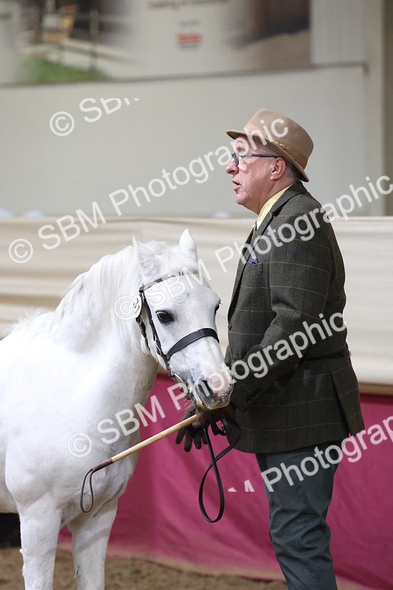 SBM_21869 - Class 901 - Supreme Final - IH  Diamond