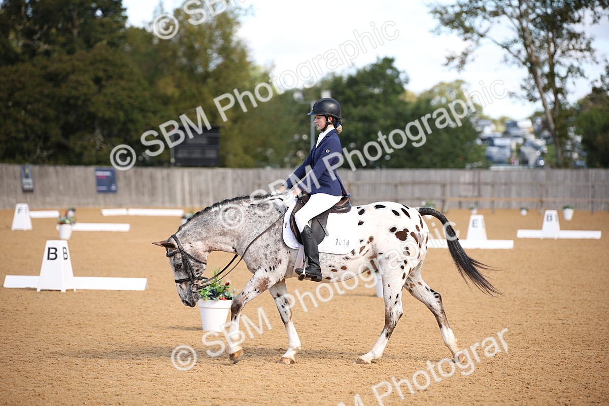 SBM_01962 - D2 Small Tour Championship Intro C