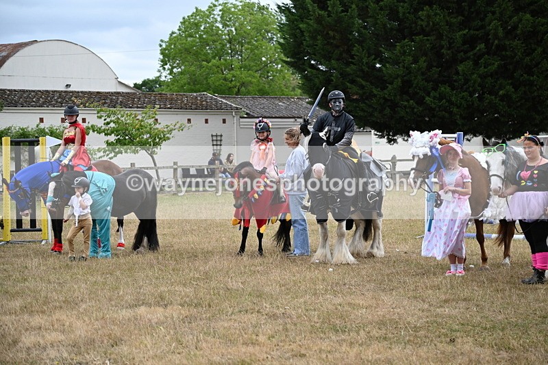 WJ6_9221 - Class 11 Fancy Dress