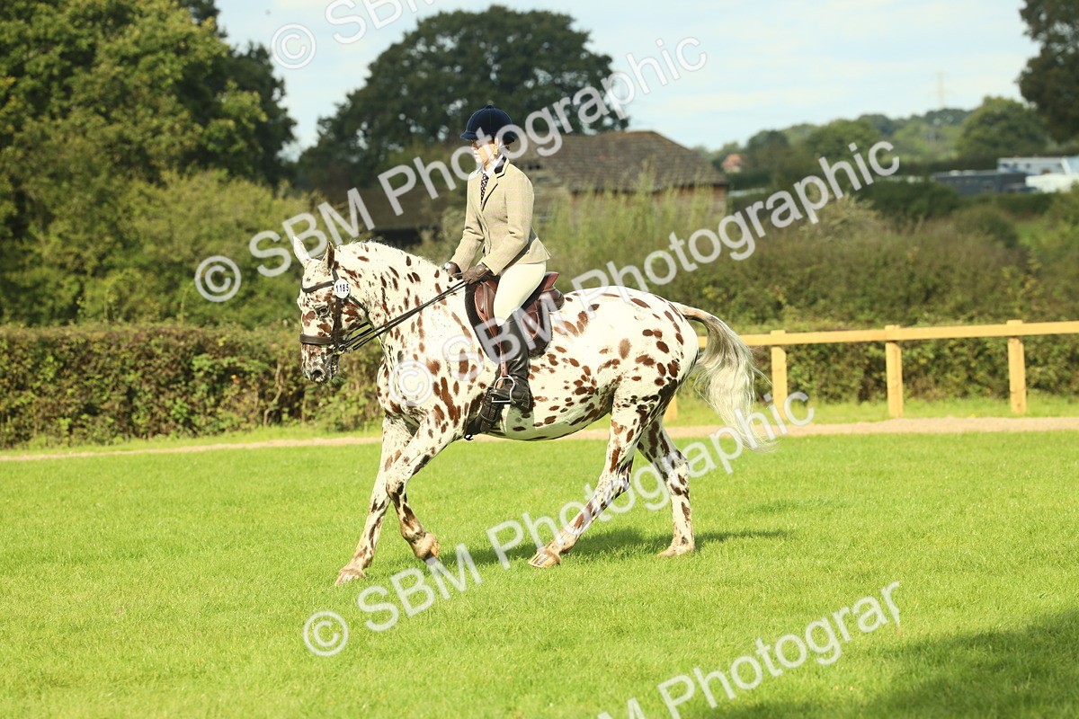 SBM_62473 - S62 - Foreign Breeds Ridden