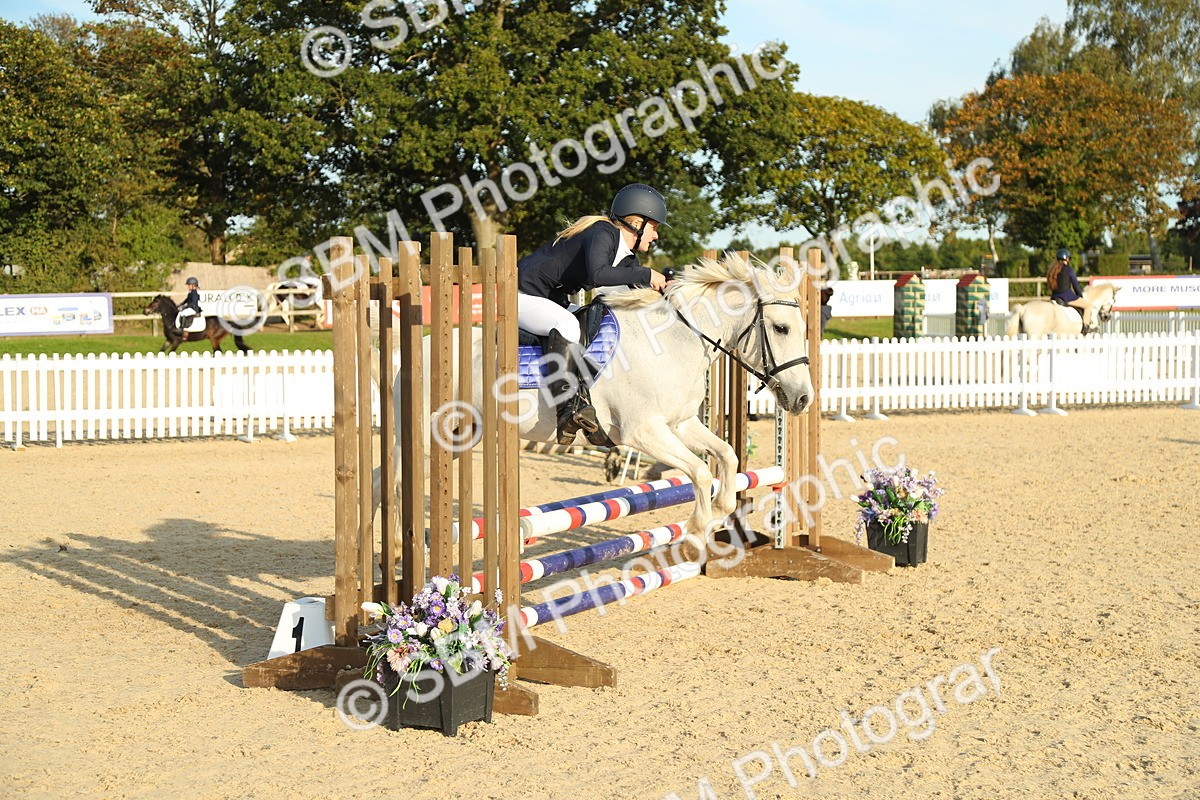 SBM_53698 - J8 - Junior Pony 65cm Championship