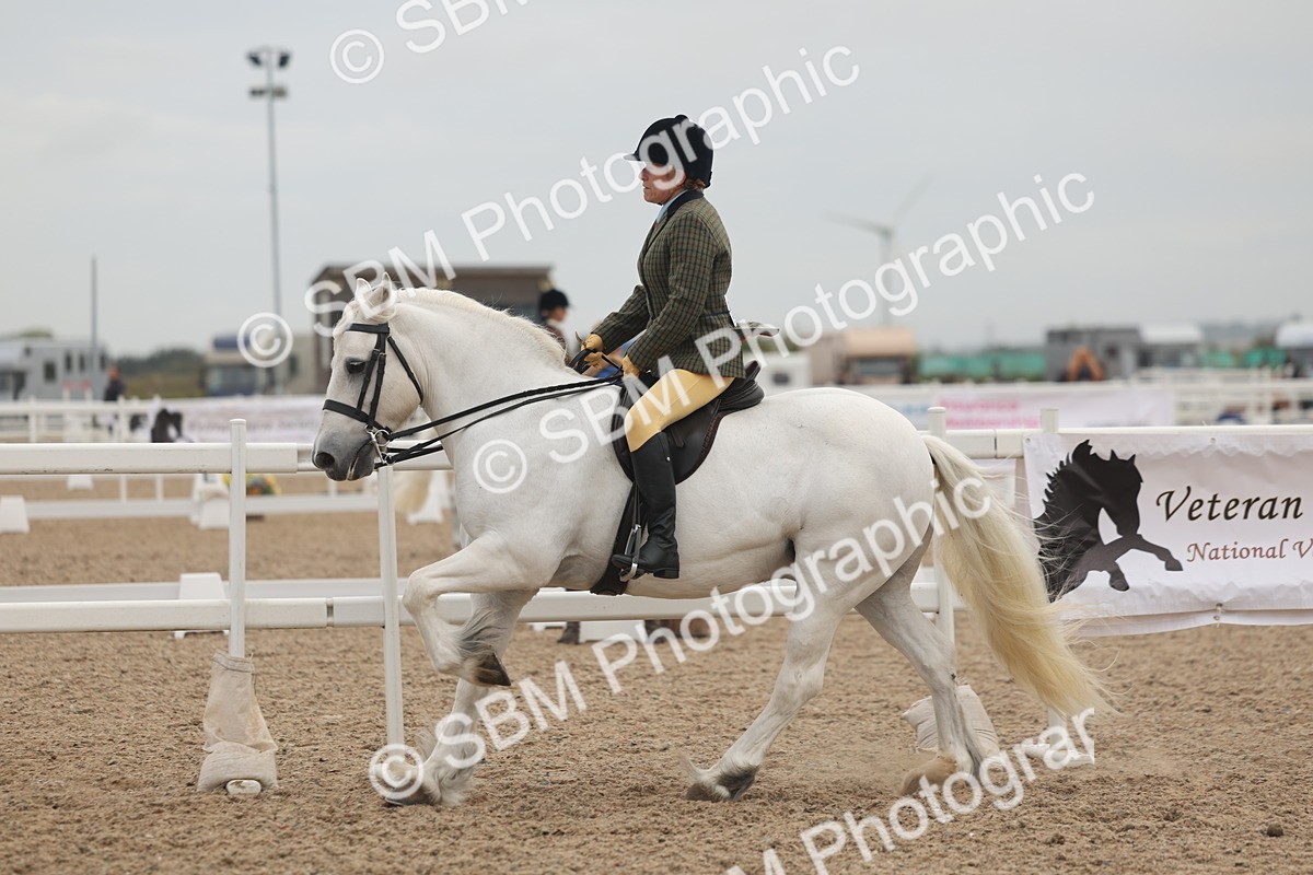 SBM_01923 - Class 14 - Ridden M&M Wildcard