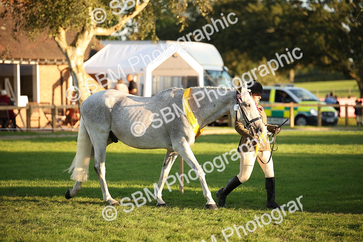 SBM_57047 - Veteran Supreme Championship
