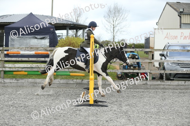 20260412-0628 - Show Jumping