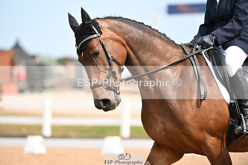 250816-134912-04933 - 071-Jane.MurrayHebog.Mischief