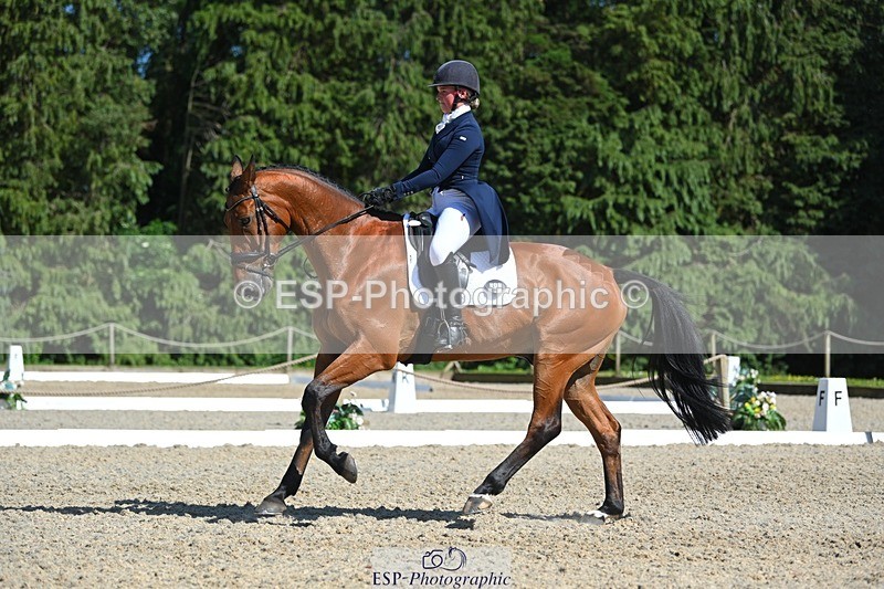 230526-160250-07248 - 253-MY_EASTWOOD_BRIGHTSIDE-Darcy_Zander-WEDTrotUp+DR