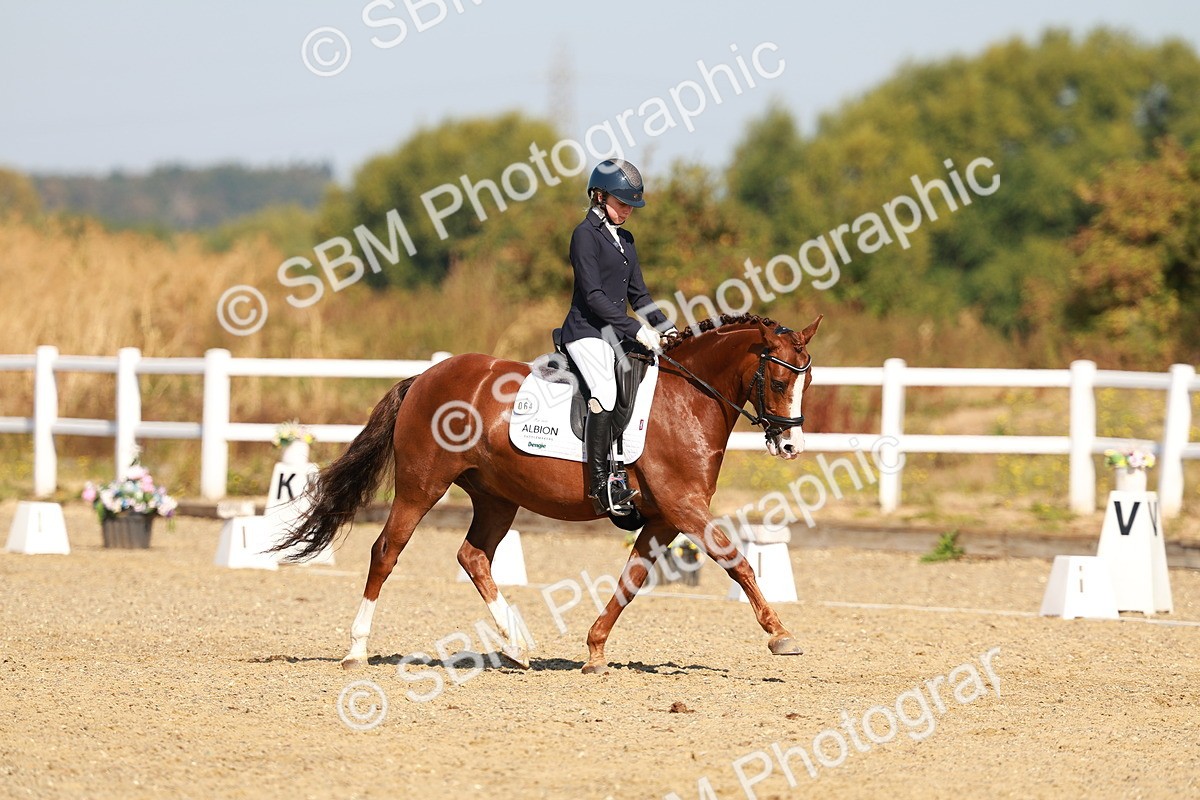 SBM_016825 - Class 9 - N5 Bronze 9.30.10.19