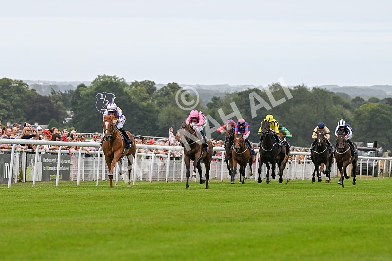 140824-Race 2-Stanhope Gardens-5999 - Race 2