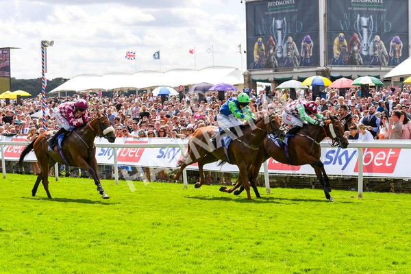 290723-Race 1-Soul Seeker-0292 - Race 1 2.05pm Sky Bet 'Jump Jockeys' Nunthorpe' Handicap