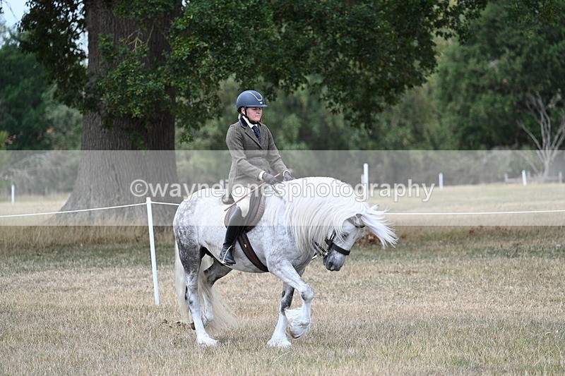 WJ7_4741 - Class 12 Ridden Cob
