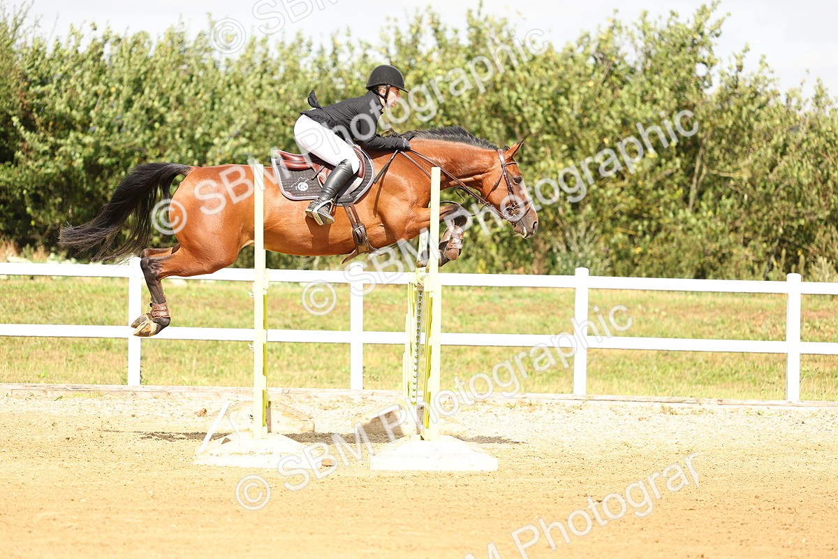 SBM_010363 - Class 4 - Senior Foxhunter - 1.20m Open