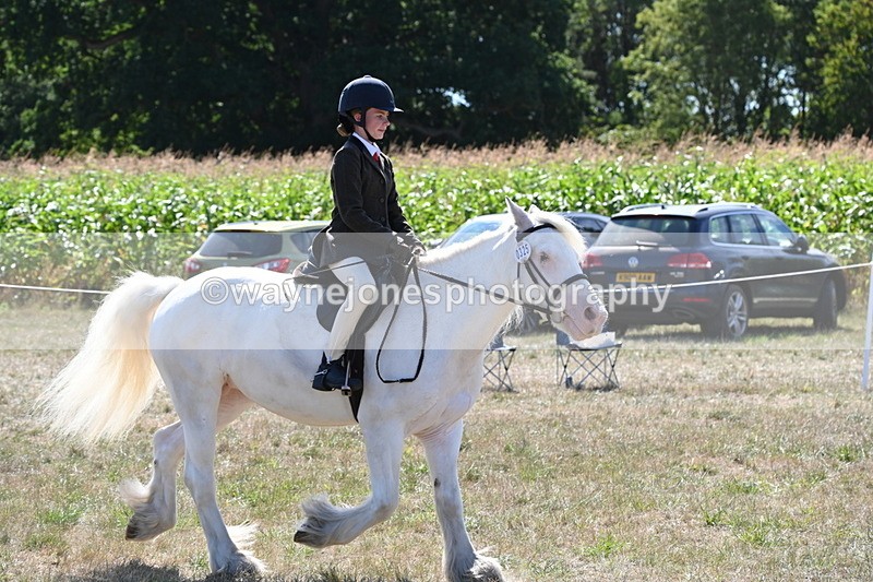 WJ6_8986 - Class 38 Ridden Riding Horse/Pony