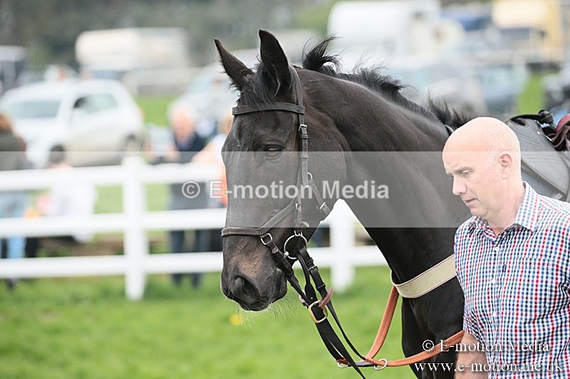 PtP 210418 143 - South & West Wilts Point-to-Point Larkhill 21/04/18