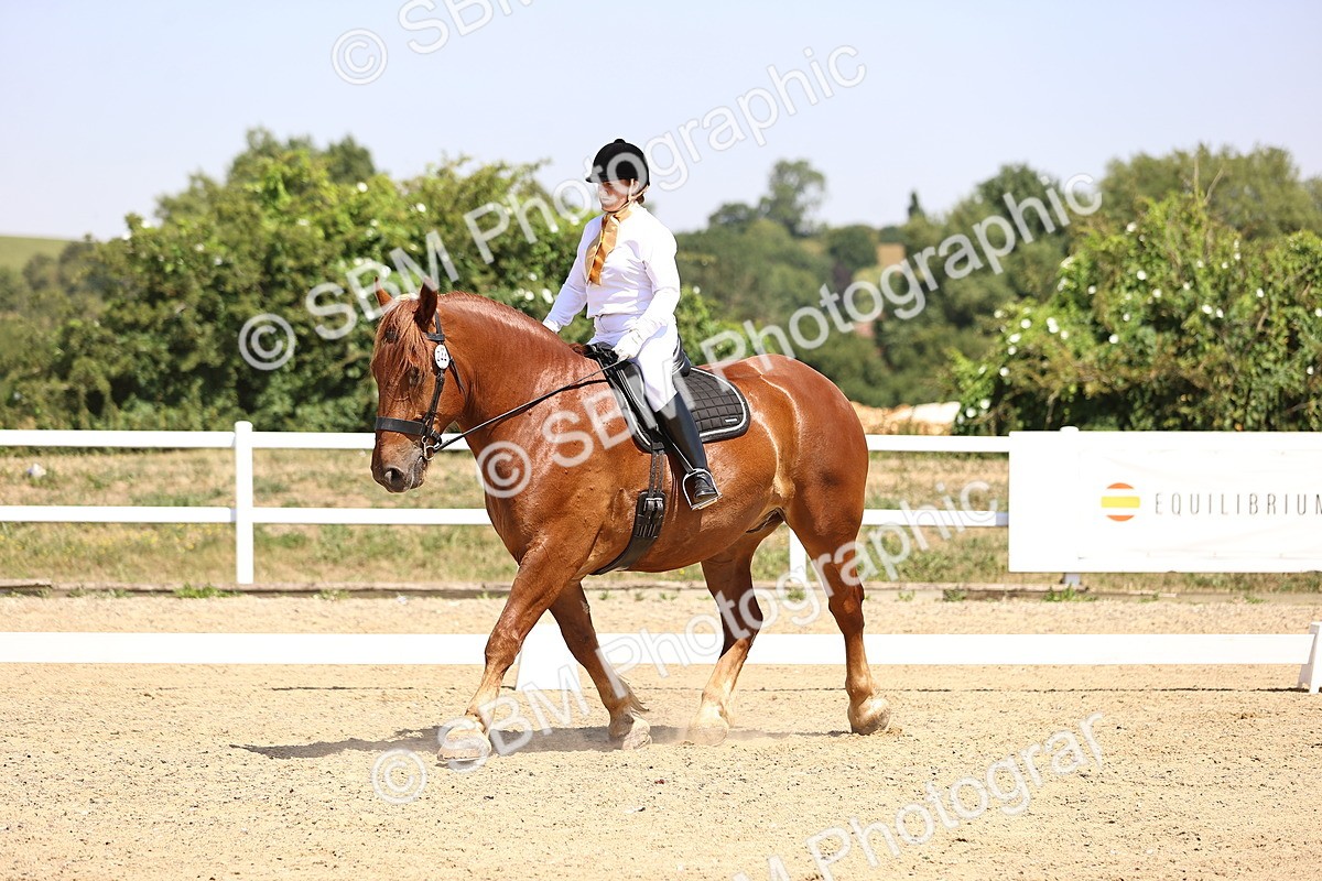 SBM_004135 - Intro 2