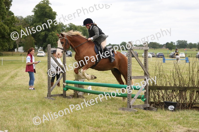 20260614-3094 - Class 22 - Open Working Hunter