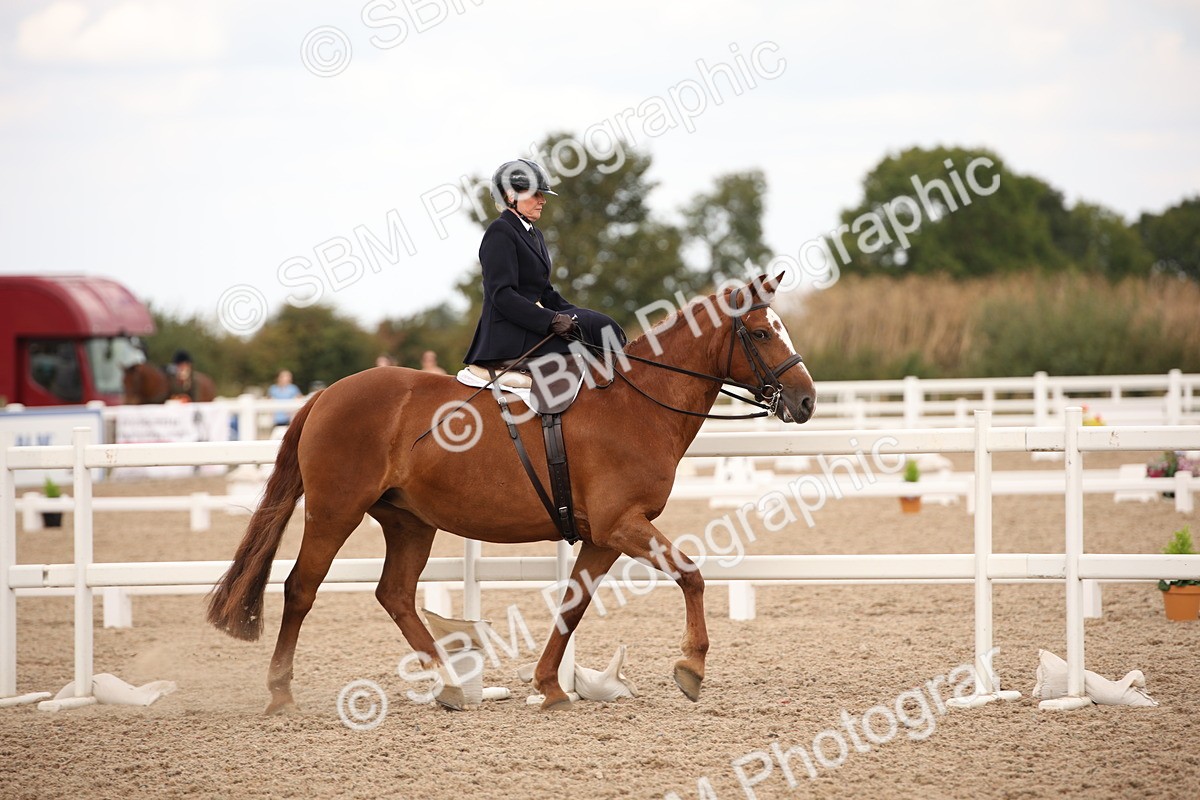 SBM_05311 - Class 22 SSA Equitation