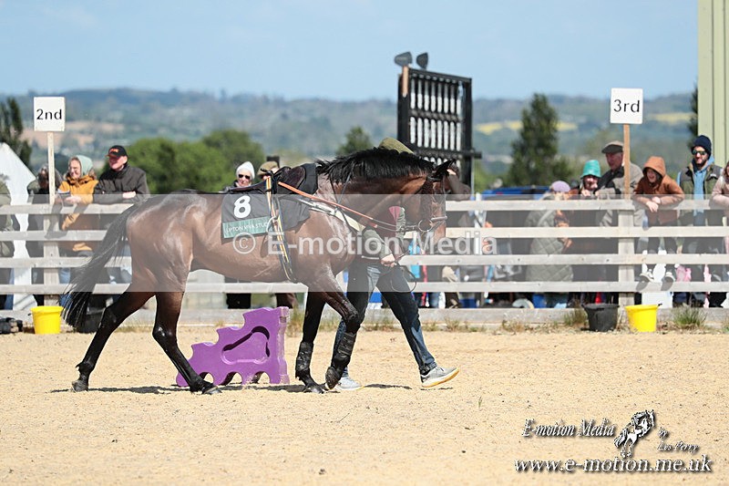 PtP 050525 91 - Mollington Races 05/05/25