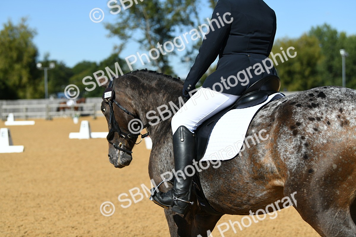 SBM_24802 - D13 - Grand Tour Championship - Prelim 12