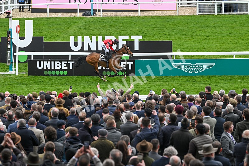 110325-Race 3-Myretown-2492 - 11th March