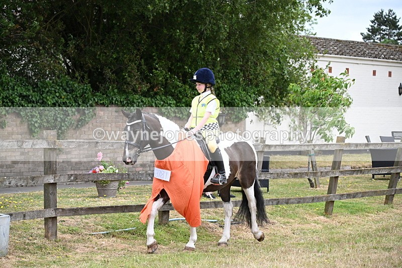 WJ6_4725 - Class 11 Fancy Dress