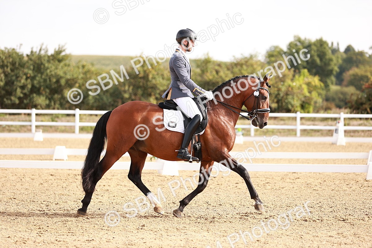 SBM_016955 - Class 10 - Medium 6