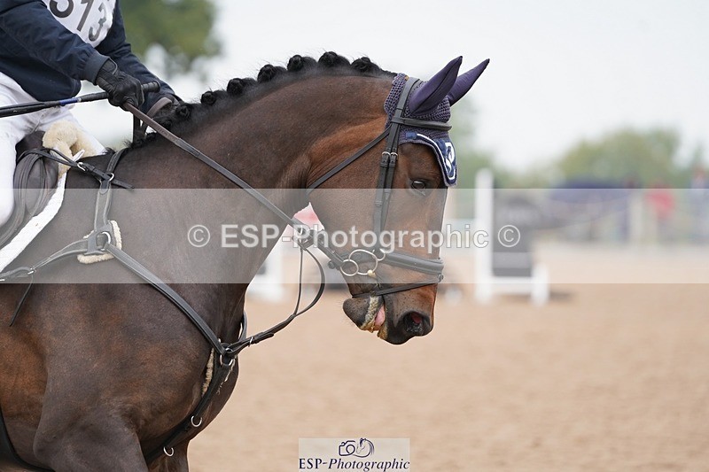 240901A-110902-06534 - 313-Max.Forster-CELTIC.CROSS
