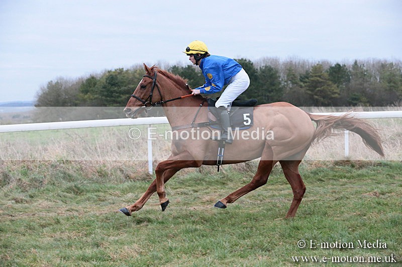 PtP 060119 553 - Larkhill Racing Club - Point-to-Point- 06/01/2019