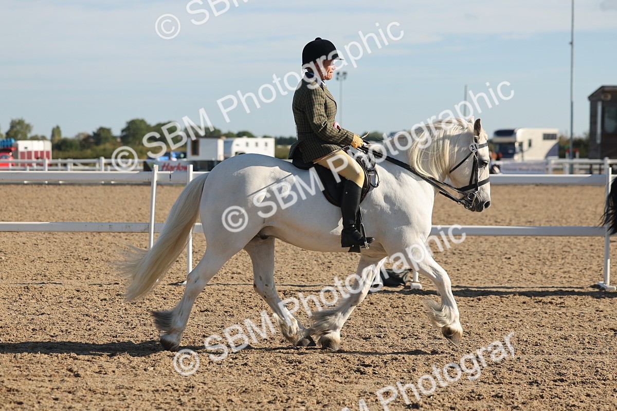 SBM_11153 - Class 302 - Ridden M&M Large Breeds