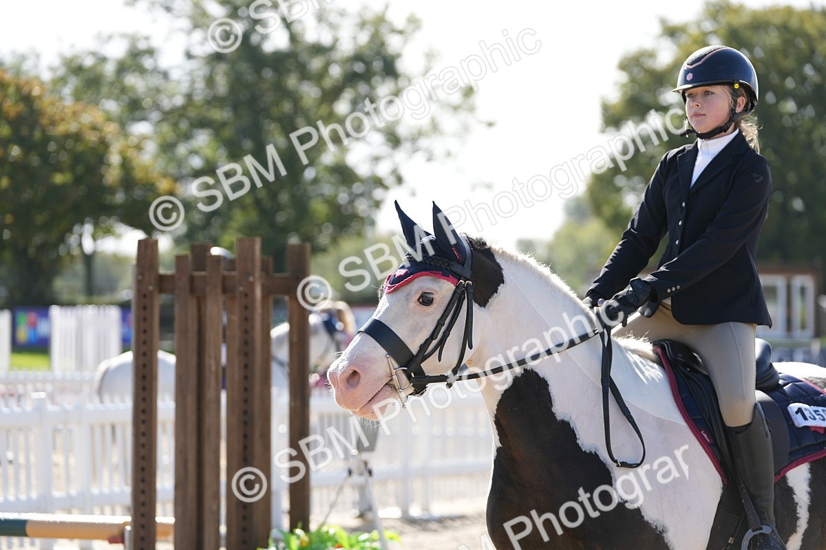 SBM_38412 - J6 - Junior Pony 55cm Championship