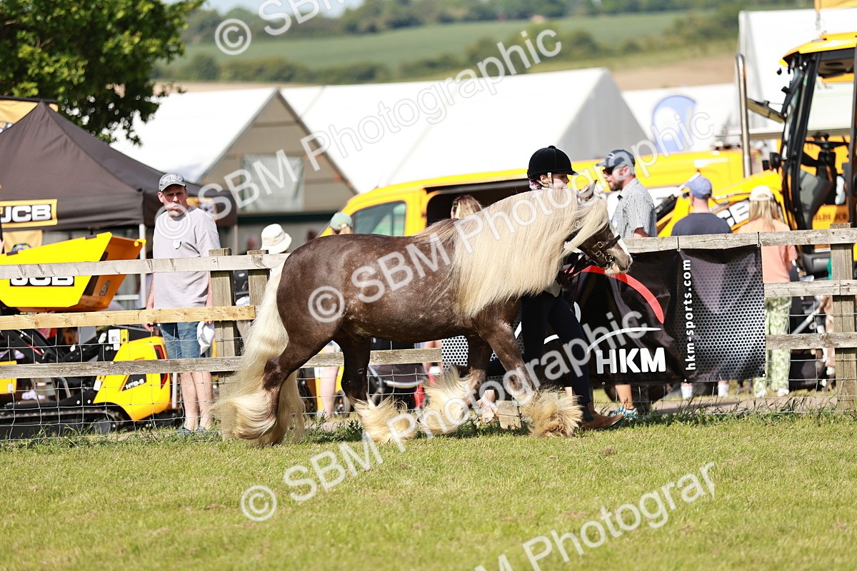 SBM_08765 - Class 63-65 - Traditional Gypsy Cobs In Hand & Ridden