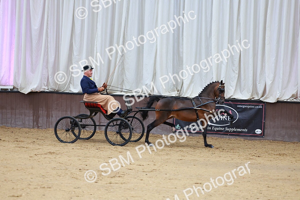 SBM_000631 - Class 9 - HHS Championship Intl Hackney Pony to a Showwagon