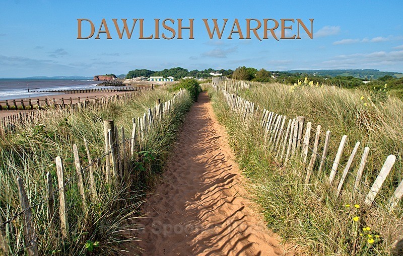 DAWLISH WARREN - Walk through the Sand Dunes - FRIDGE MAGNETS