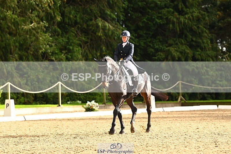 231021-153145-20874 - 259-BOSTON.IV-Rosie.Thomson-DR