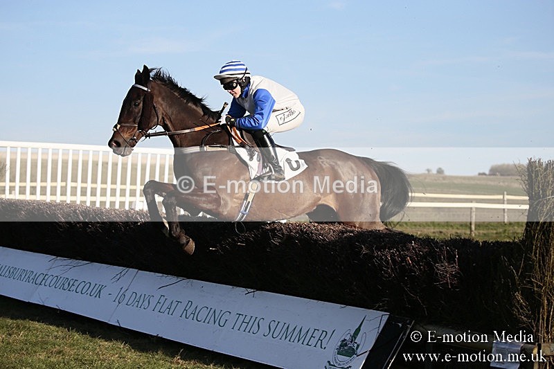 PtP 240218 676 - Vine & Craven Hunt Point-to-Point Barbury racecourse 24/02/18
