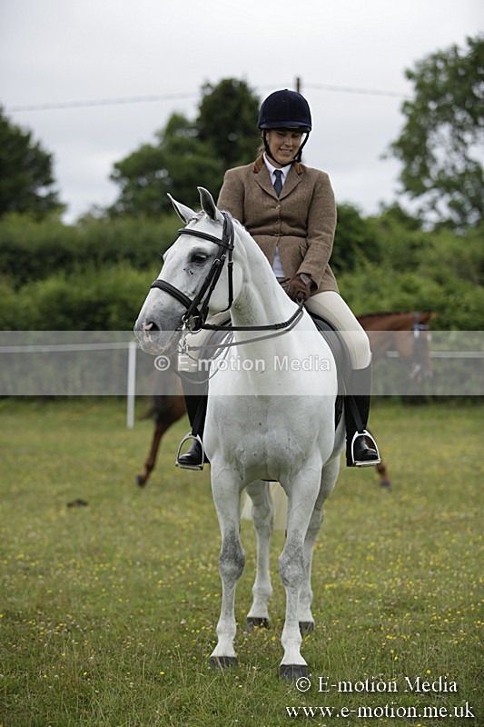 BVR160717-1049 - Ring 1 BVRC Show 16/07/17