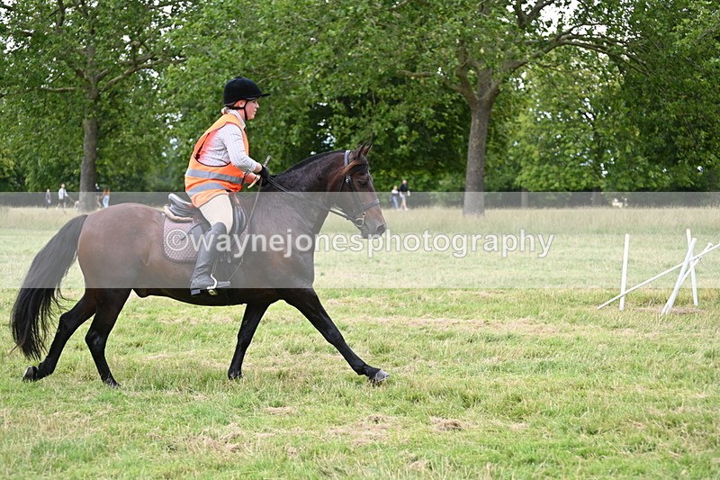 WJ6_5933 - Time at Jump 14:42 to 15:23