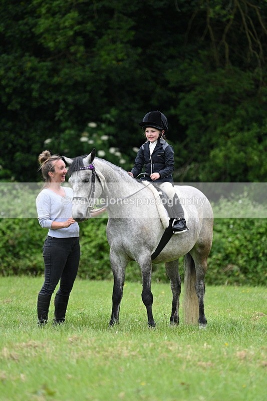 WJ7_4210 - Class 14A Handsome Gelding