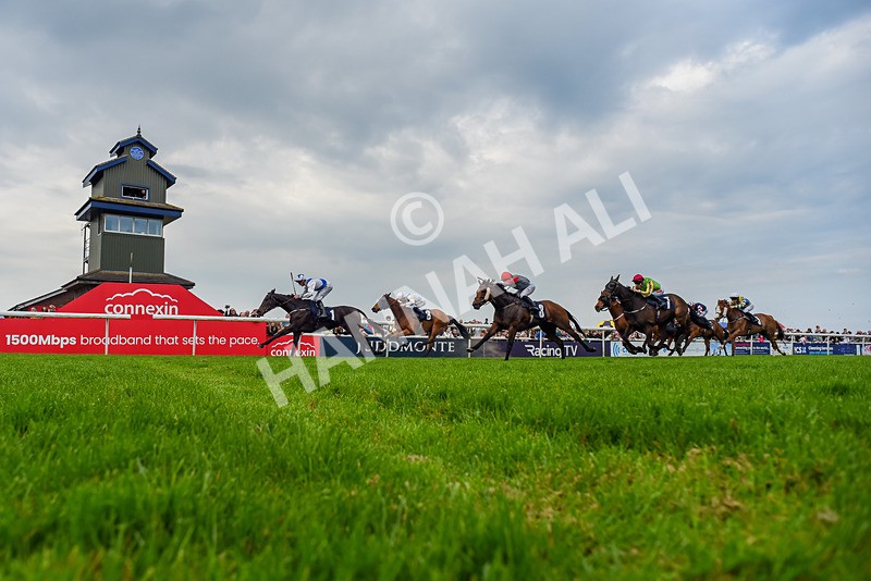 060524-Race 6-Shes Got Bottle-9195 - Race 6