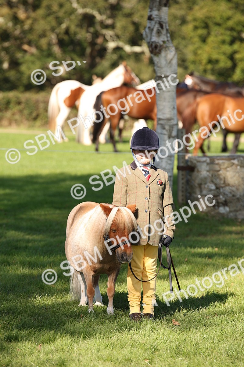 SBM_36654 - S10 - Best In Hand Horse & Pony