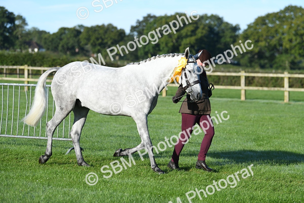 SBM_32868 - S15 - Condition & Turnout In Hand