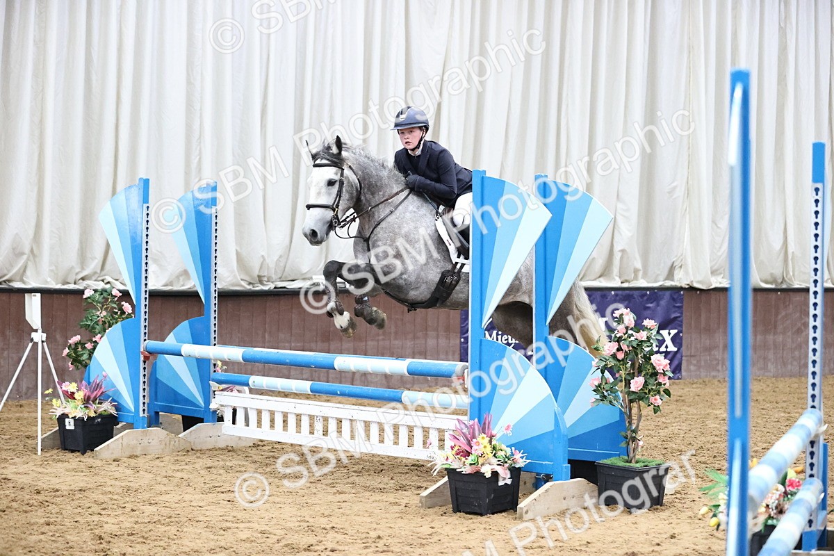 SBM_000195 - Class 2 - Pony British Novice - 80cm Open