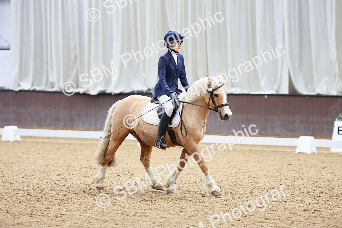 SBM_000583 - Class 4 - CT Prelim 3-70cm