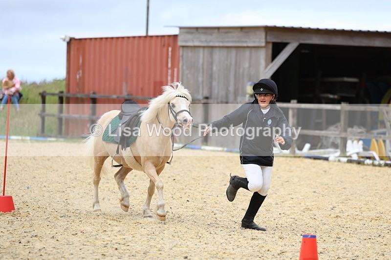 3E7A9418 - Walk trot run