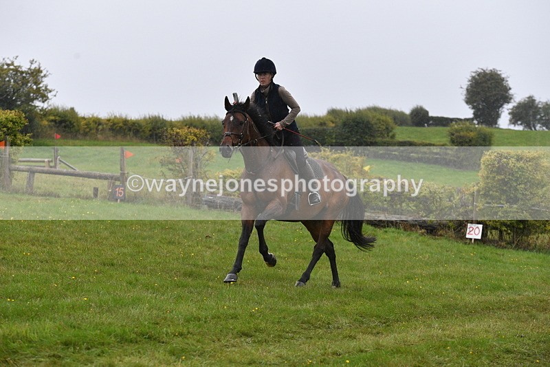 WJ5_6979 - Time 13:31 to 14:00