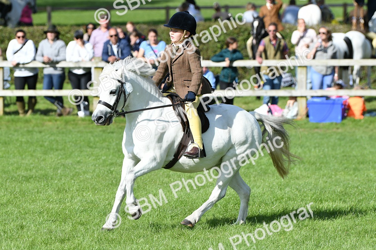 SBM_50313 - S21 - Novice & Newcomers 1st Ridden Pony
