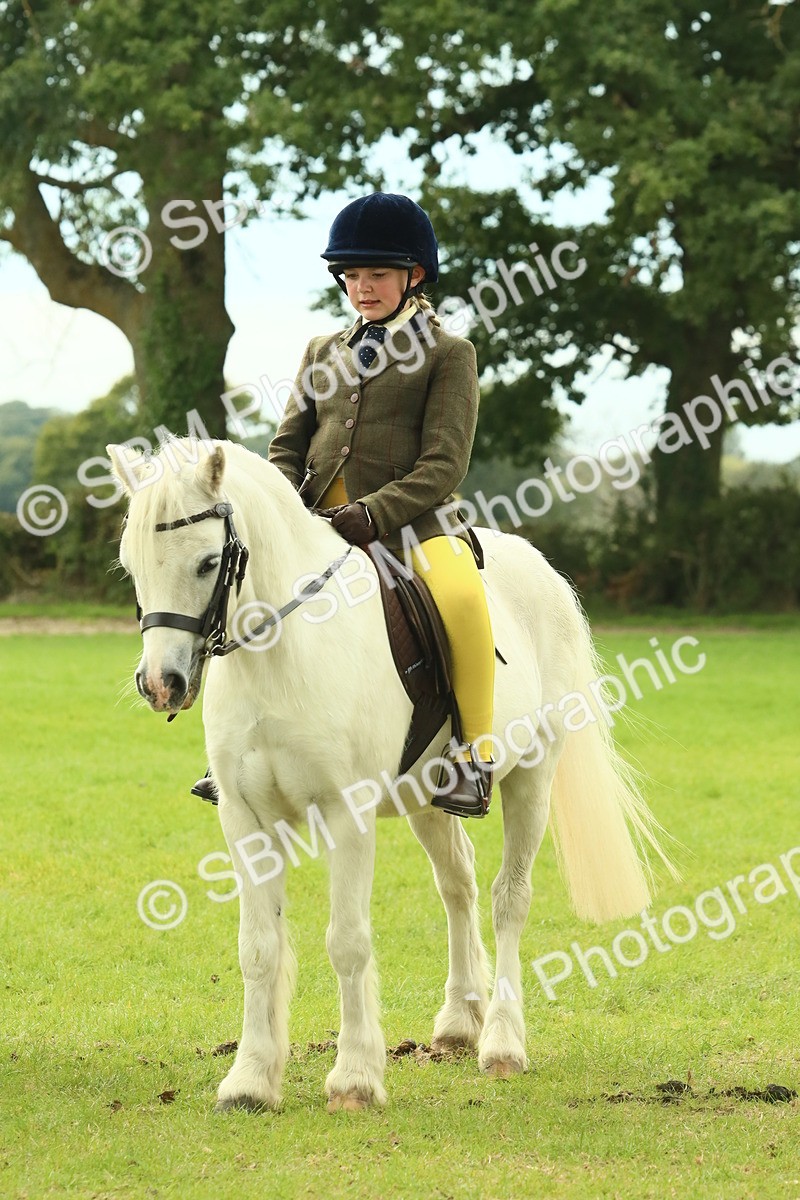 SBM_69986 - S59 - Mountain & Moorland Ridden Small Breeds