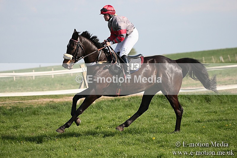 PtP 210418 466 - South & West Wilts Point-to-Point Larkhill 21/04/18