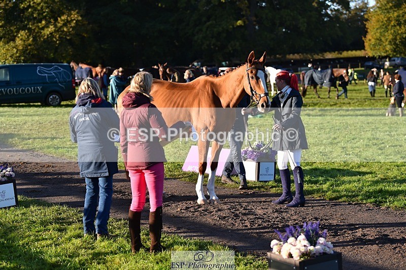 231022-091312-21625 - 613-CAVS.GIRL-Anna.Webster-TrotUp+SJ