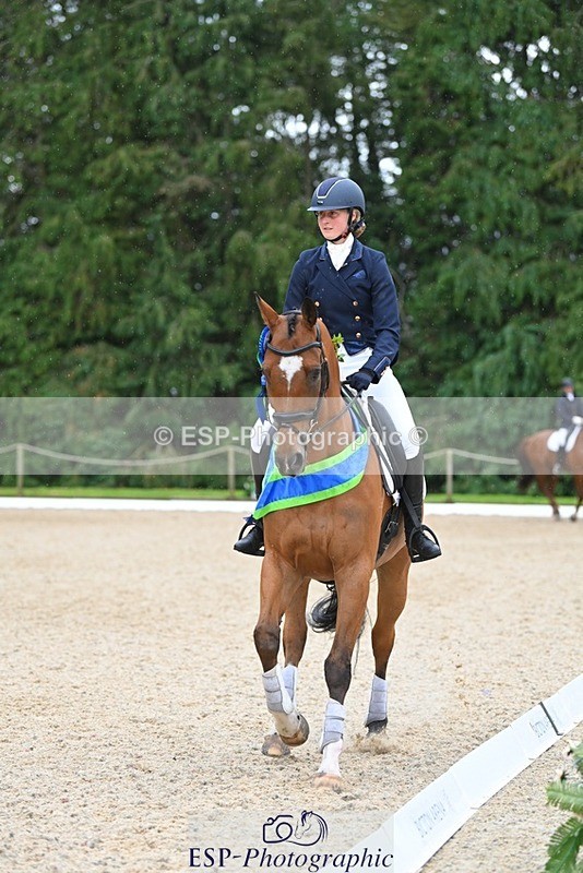 230813-163020-08338 - Medium Bronze Presentations